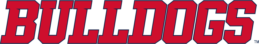 Fresno State Bulldogs 2020-Pres Wordmark Logo diy iron on heat transfer